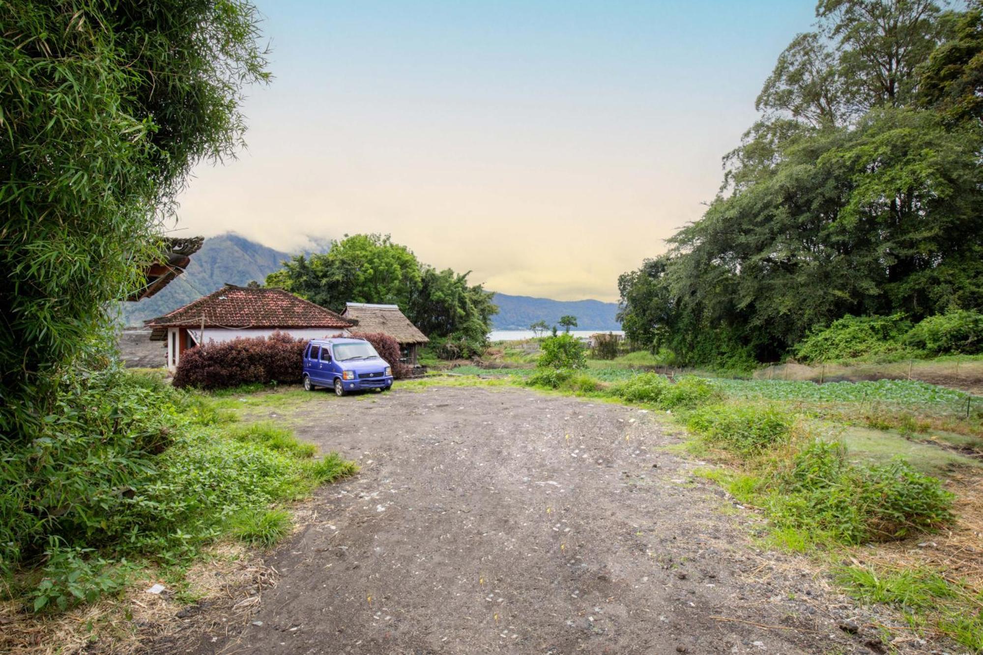 Tempat Tidur & Sarapan Bali Kintamani (Bali)