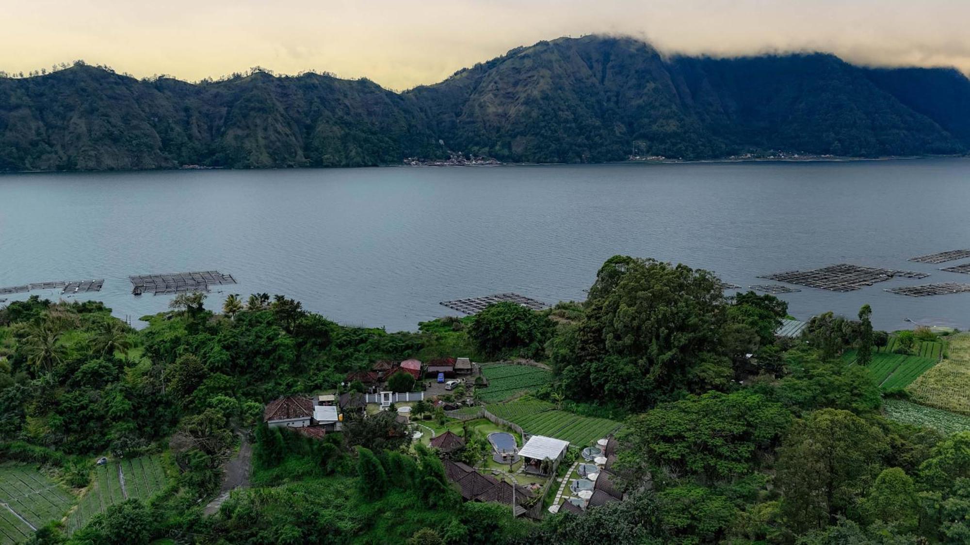 Bali Kintamani (Bali)